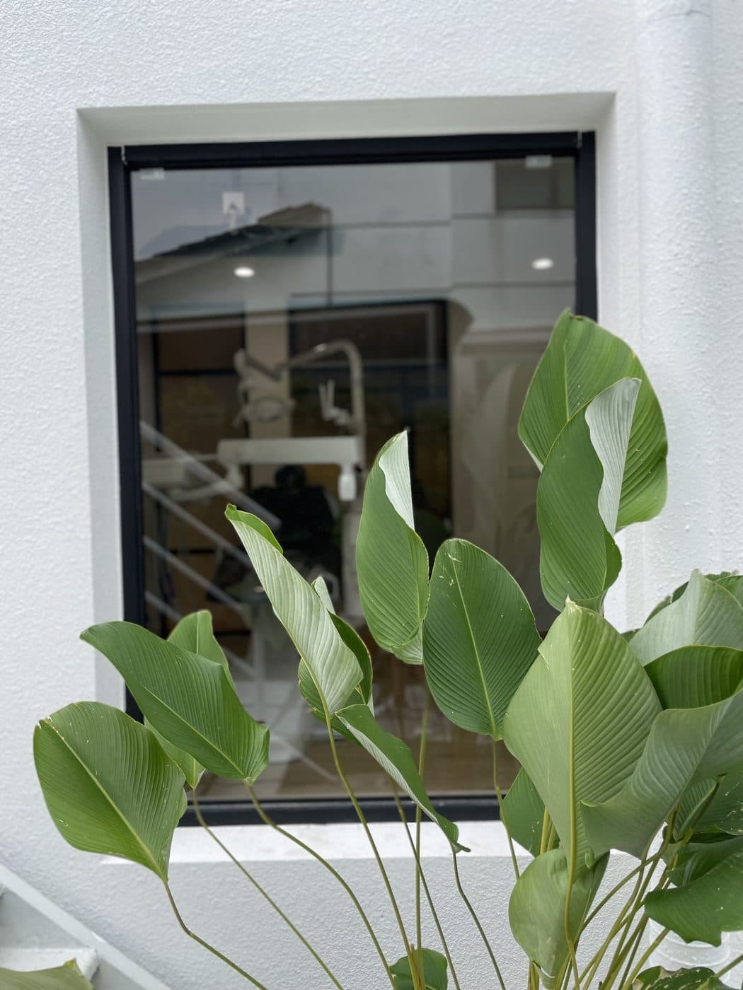 A treatment room at The Garden Dental, framed by garden foliage
