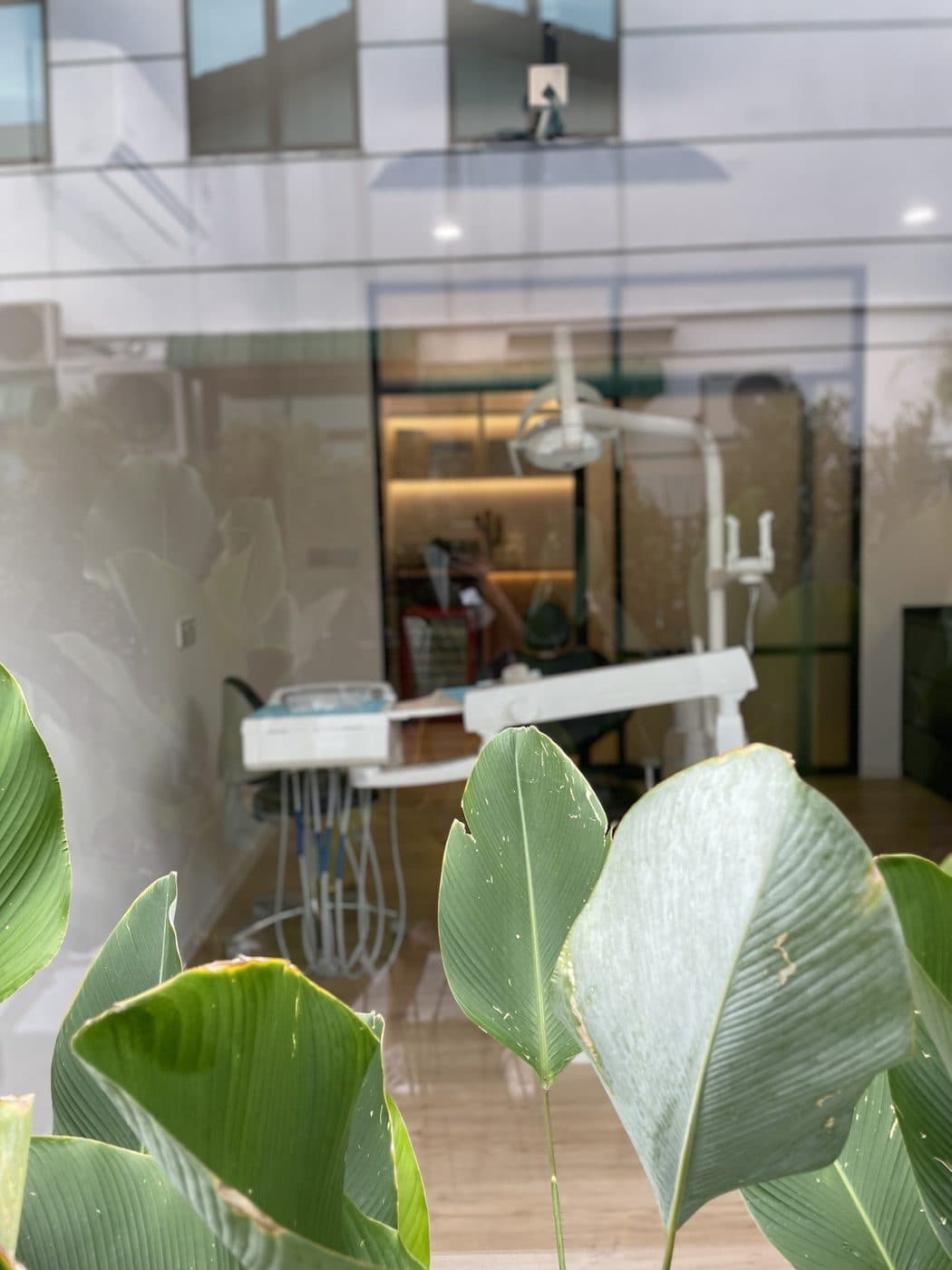 Bilik rawatan di The Garden Dental, dilihat dari celah dedaunan taman