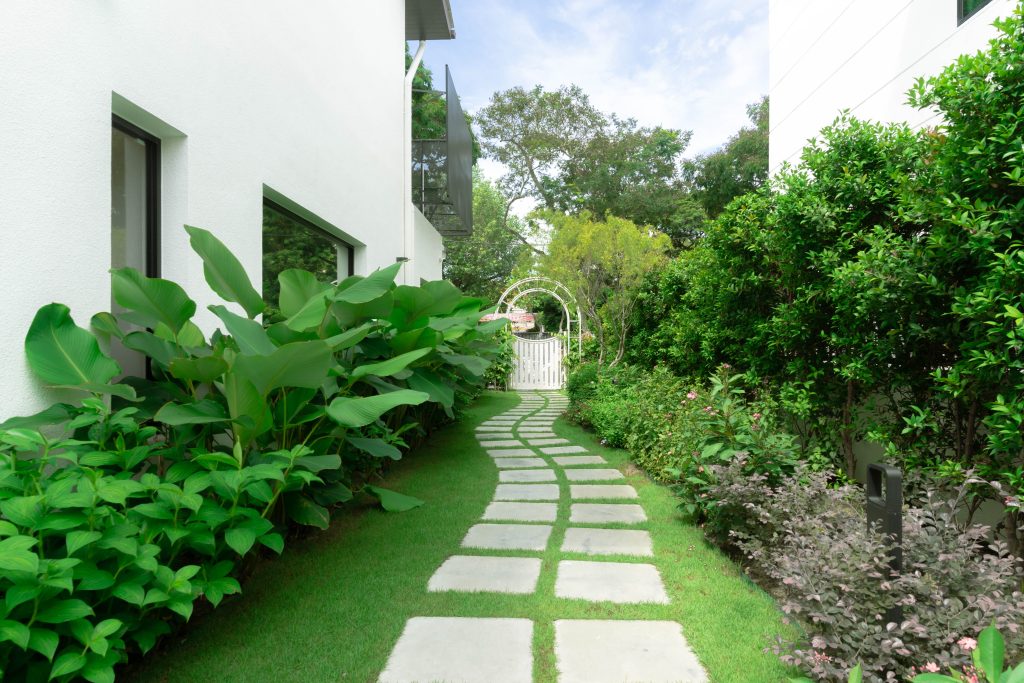 Cosmetic Dentistry Expert | The Garden Dental